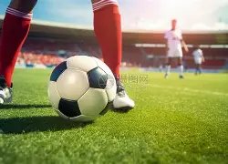 托纳利喜悦,续约纽卡征,未来展望虽,亚博体育官网,亚博体育APP,Yabo,Sports,亚博体育平台