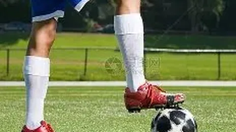 亚博体育 资讯 083919 txl