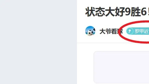 2025年德国五大联赛转会市场助攻王榜单揭晓