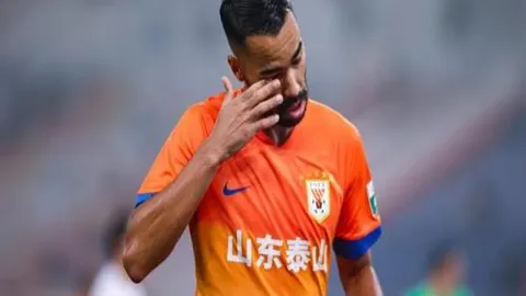 解码唇语传奇：探寻廷贝尔与马雷斯卡的言辞之谜